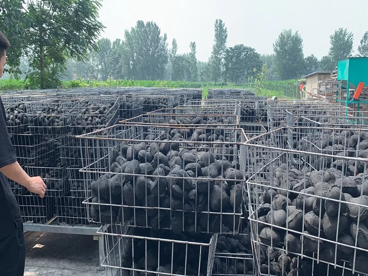 Usine de transformation de charbon de bois pour barbecue