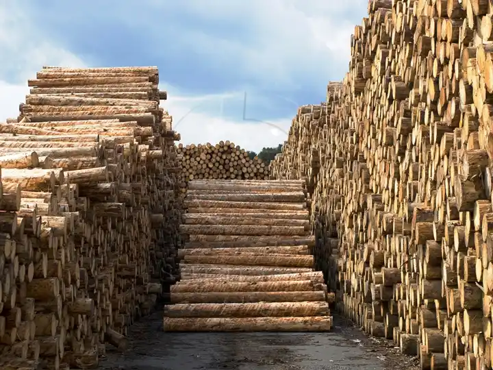 Wood to be treated