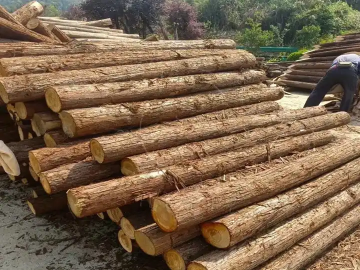 log