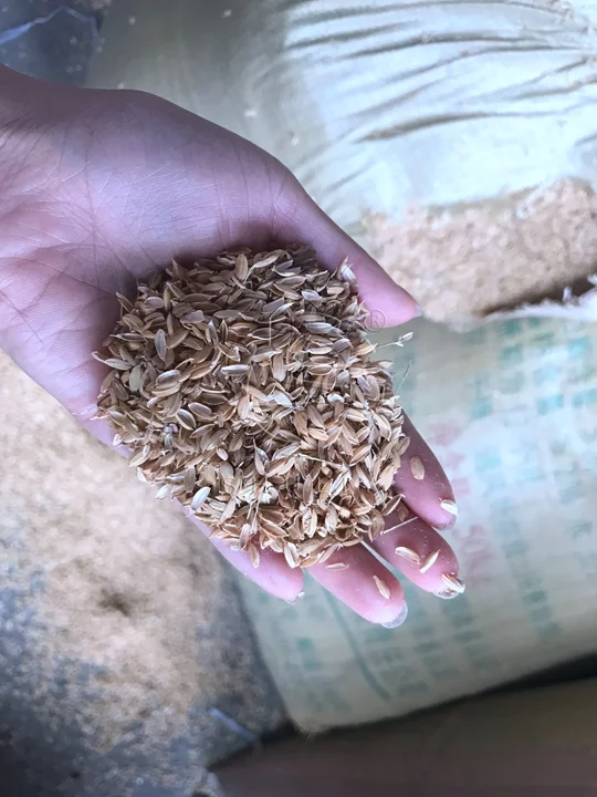 detalles de cáscara de arroz