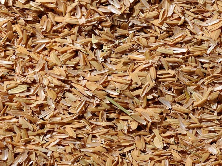 cáscara de arroz de cultivos