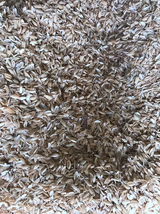 rice husk information