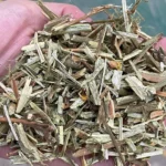 wood chips of Hammer Mill Shredder